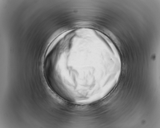 X0000100961386200807221134