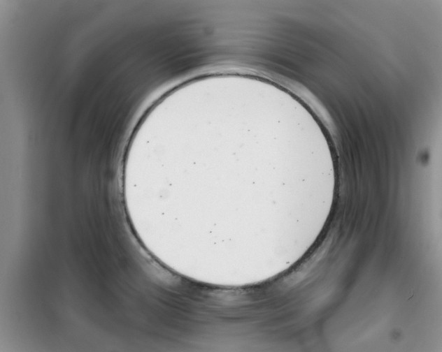 X0000100961388200807221134