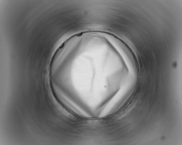 X0000100961389200807221134