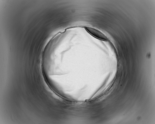 X0000100961390200807221134