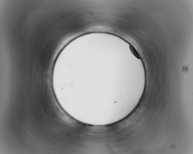 X0000100961392200807221134