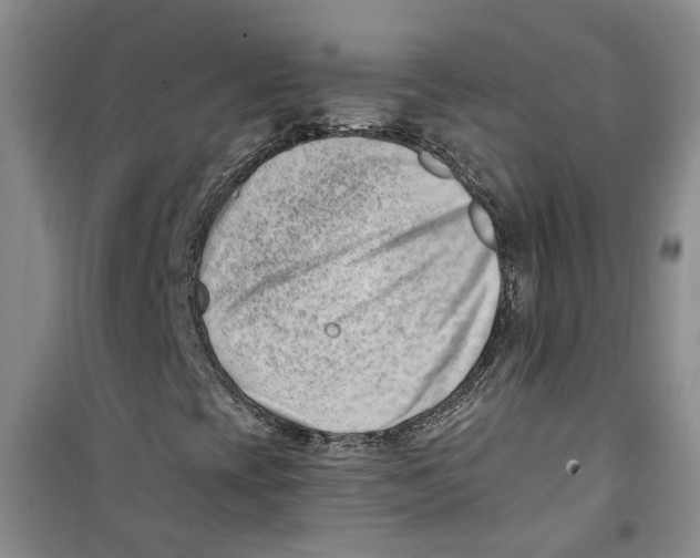 X0000100961393200807221134