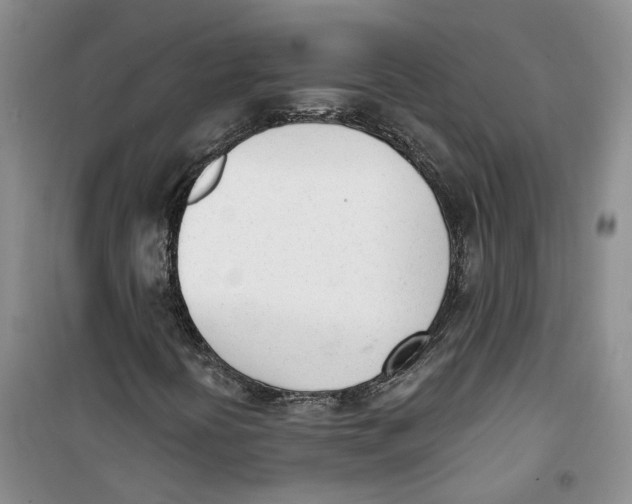 X0000100961394200807221134