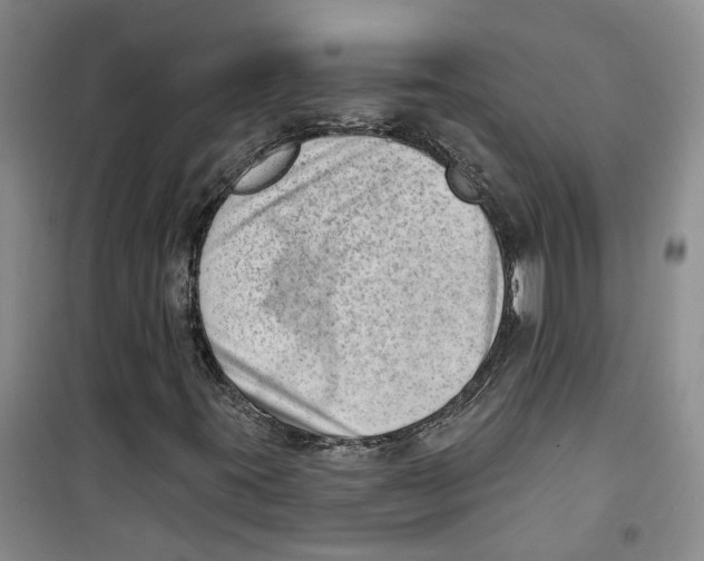 X0000100961395200807221134