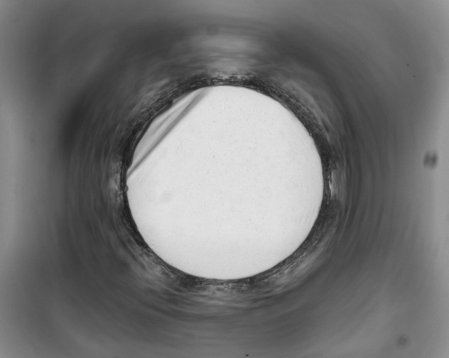 X0000100961396200807221134