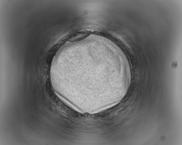 X0000100961399200807221134