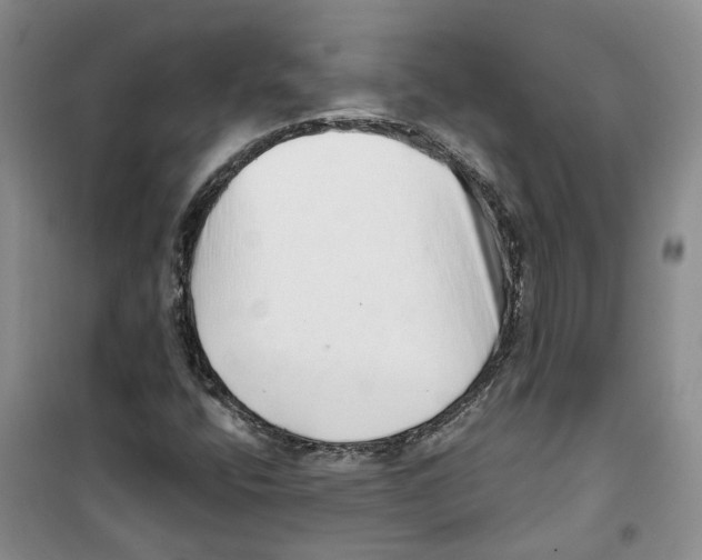 X0000100961400200807221134