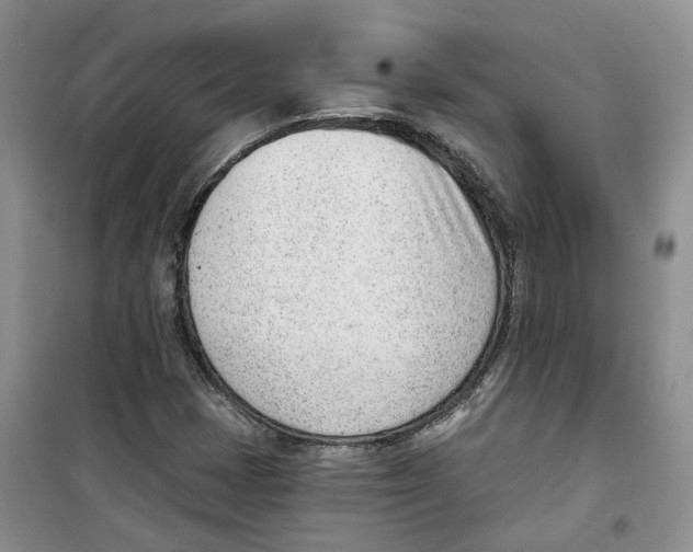 X0000100961401200807221134