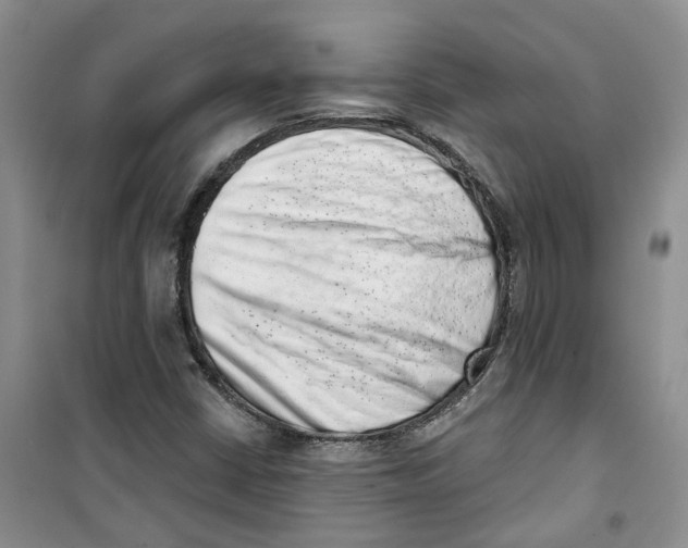 X0000100961402200807221134