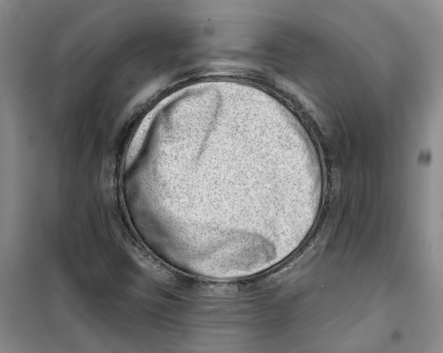 X0000100961403200807221134