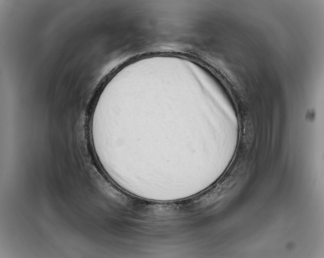 X0000100961404200807221134