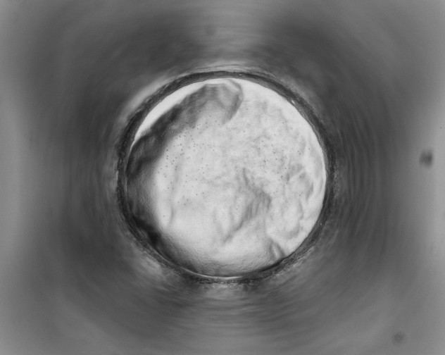 X0000100961406200807221134