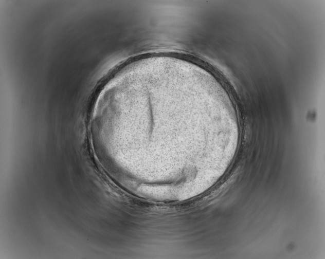 X0000100961407200807221134