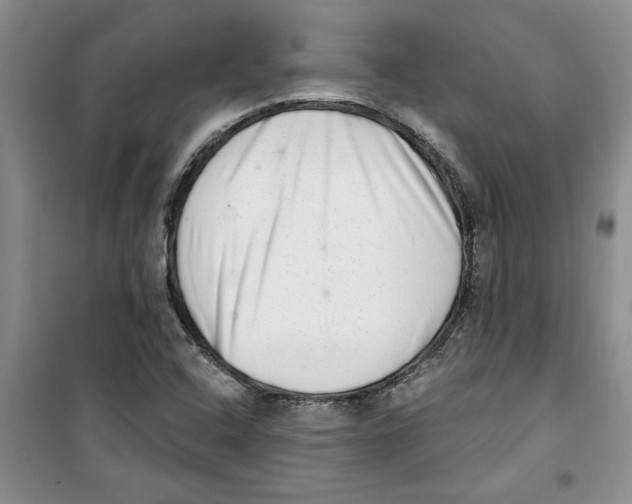 X0000100961408200807221134