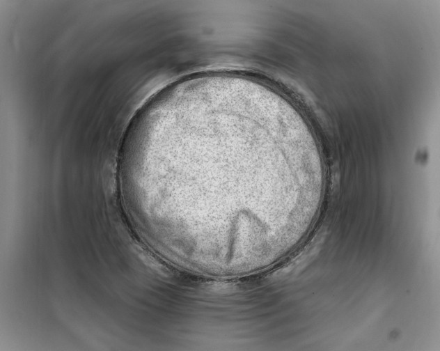 X0000100961409200807221134