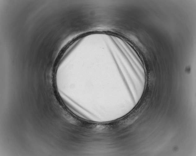 X0000100961412200807221134