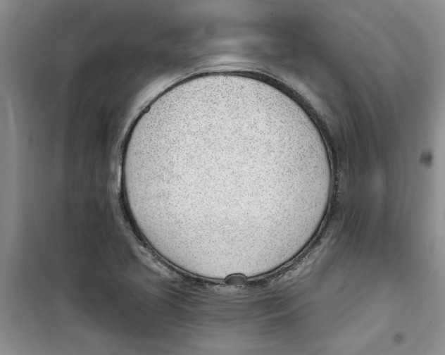 X0000100961413200807221134