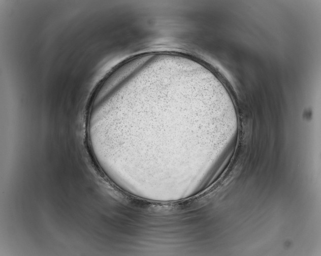 X0000100961415200807221134