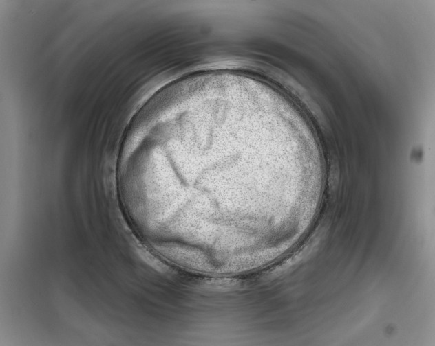 X0000100961417200807221134