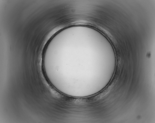 X0000100961418200807221134