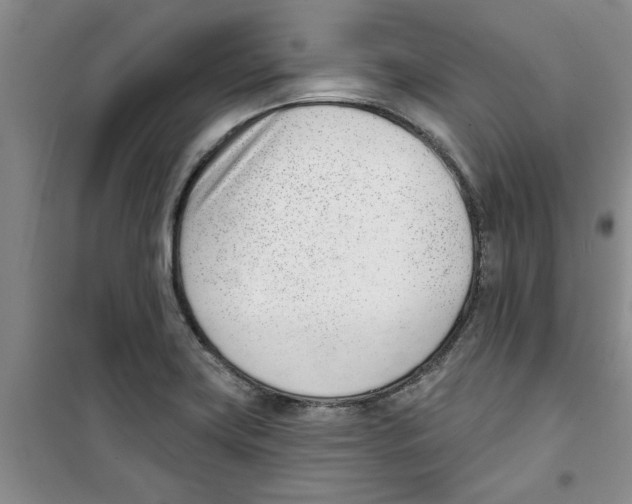 X0000100961419200807221134