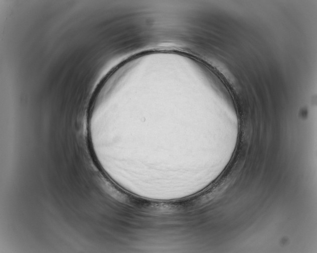 X0000100961420200807221134