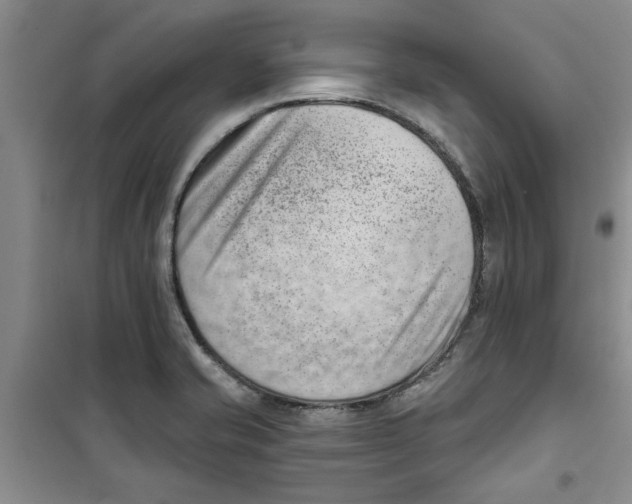 X0000100961421200807221134