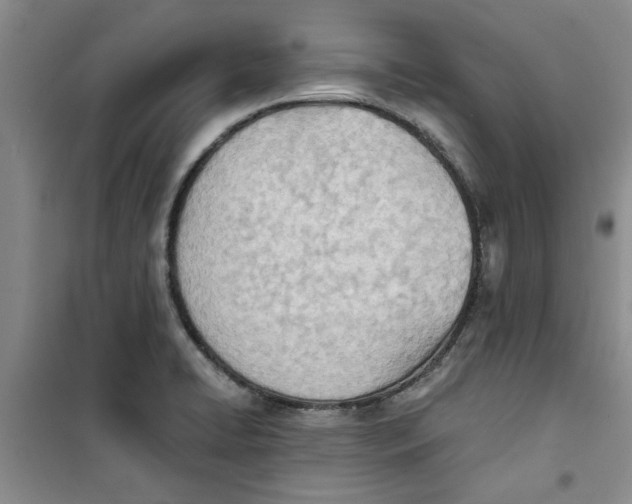 X0000100961422200807221134