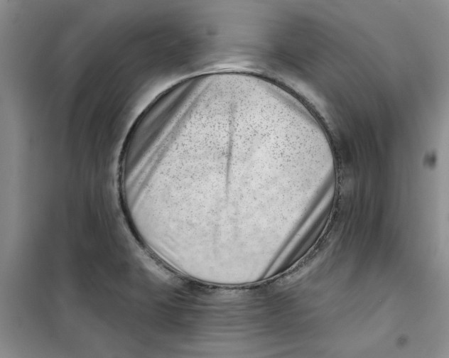 X0000100961423200807221134