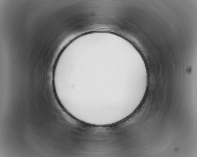 X0000100961424200807221134