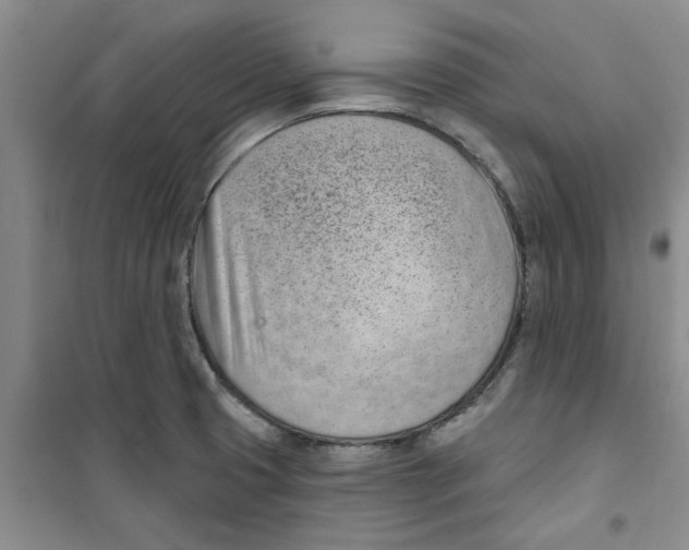 X0000100961425200807221134