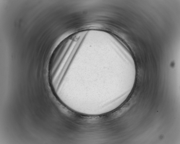 X0000100961426200807221134