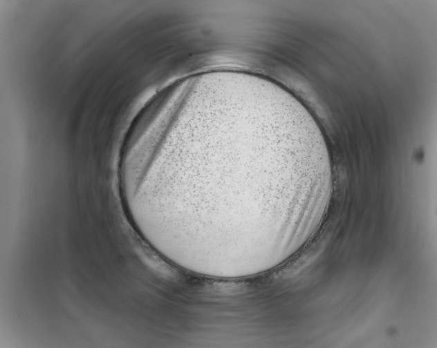 X0000100961427200807221134