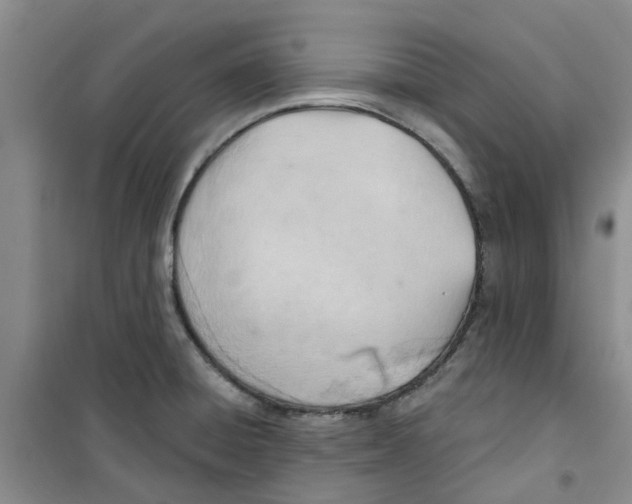 X0000100961428200807221134