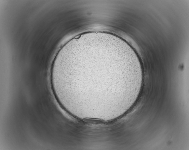 X0000100961429200807221134