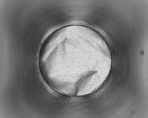 X0000100961430200807221134