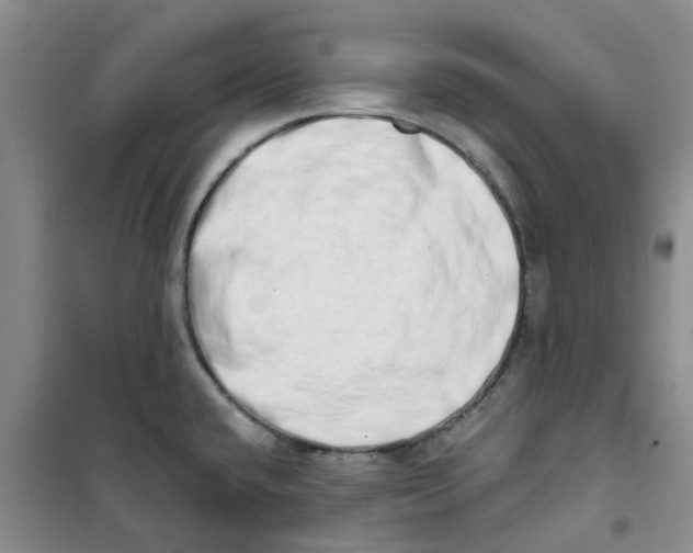 X0000100961432200807221134