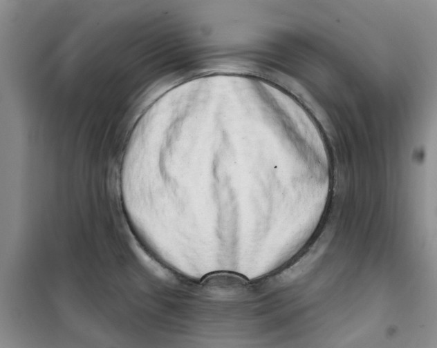 X0000100961433200807221134