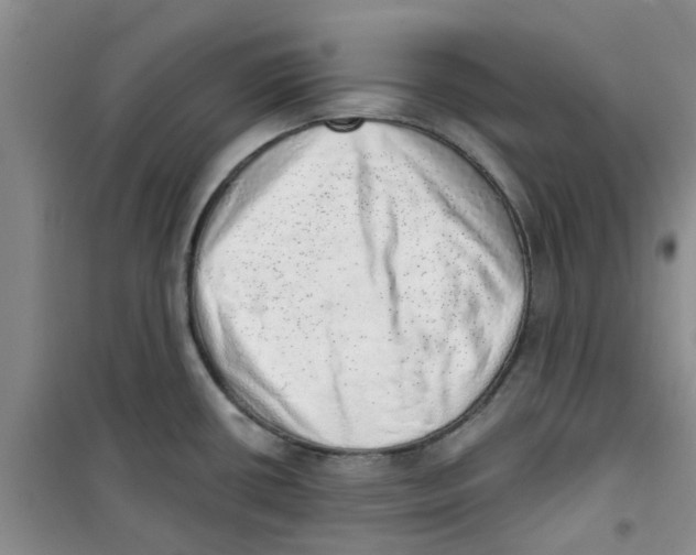 X0000100961434200807221134