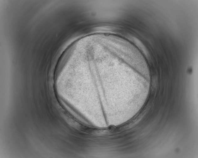 X0000100961435200807221134