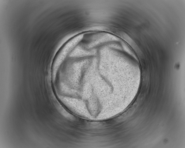 X0000100961436200807221134