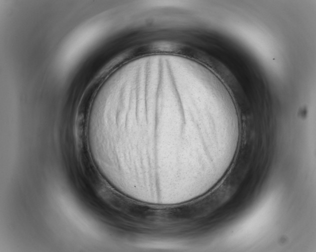 X0000100961438200807221134