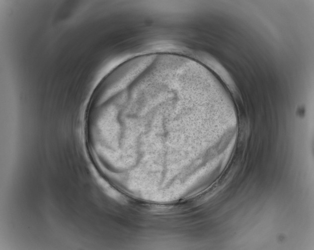 X0000100961439200807221134