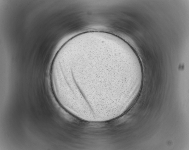 X0000100961440200807221134