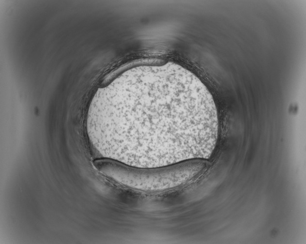 X0000100961441200807221134