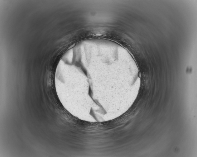 X0000100961442200807221134