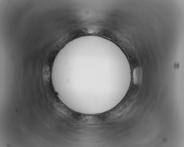 X0000100961443200807221134