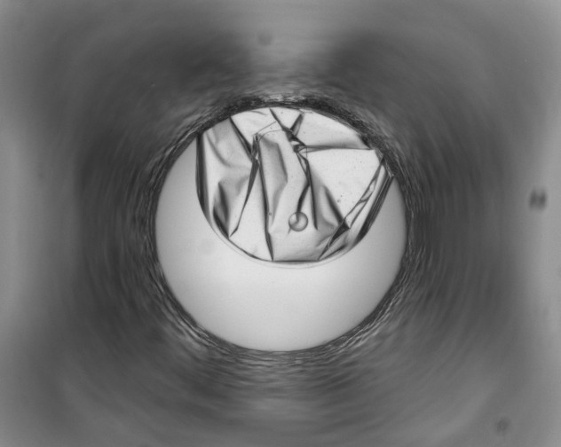 X0000100961444200807221134