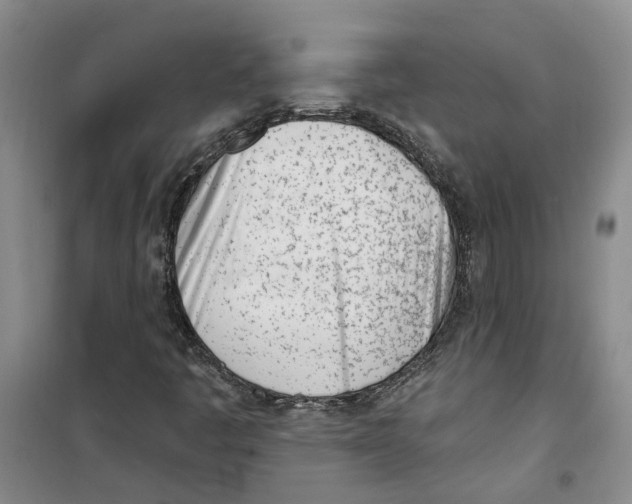 X0000100961445200807221134