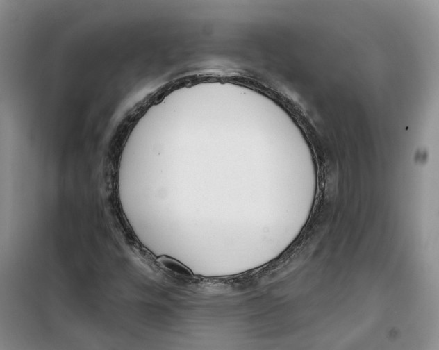 X0000100961448200807221134